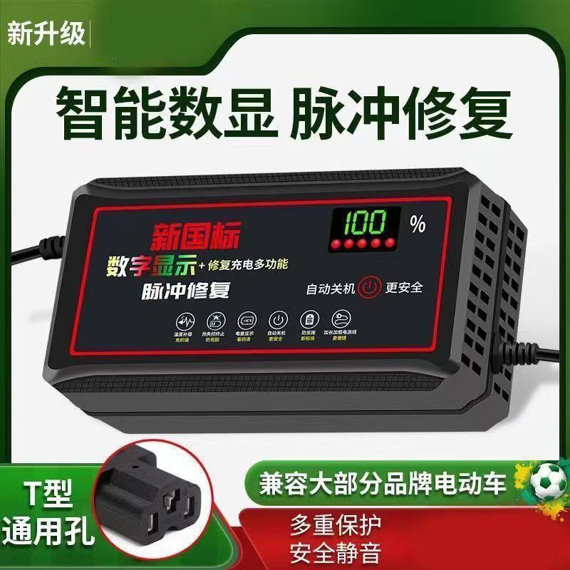 Intelligent Power-Off Electric Vehicle Battery Charger 48V60V72V Lead-Acid Graphene Tianneng Black Gold Super Power