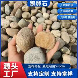 鹅卵石厂家定制变电站专用河卵石5-8cm园林造景电厂滤油用河卵石