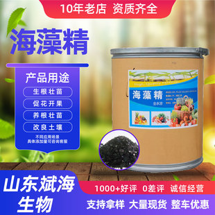 ���徫֧�ֶ�������ø�⺣�����������͜�ø����ȡ�~��ʺ��徫