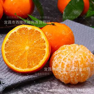 �V�����Q�ָ�5/9�＃�����rˮ�������F���̽����ЋD���ّ�����