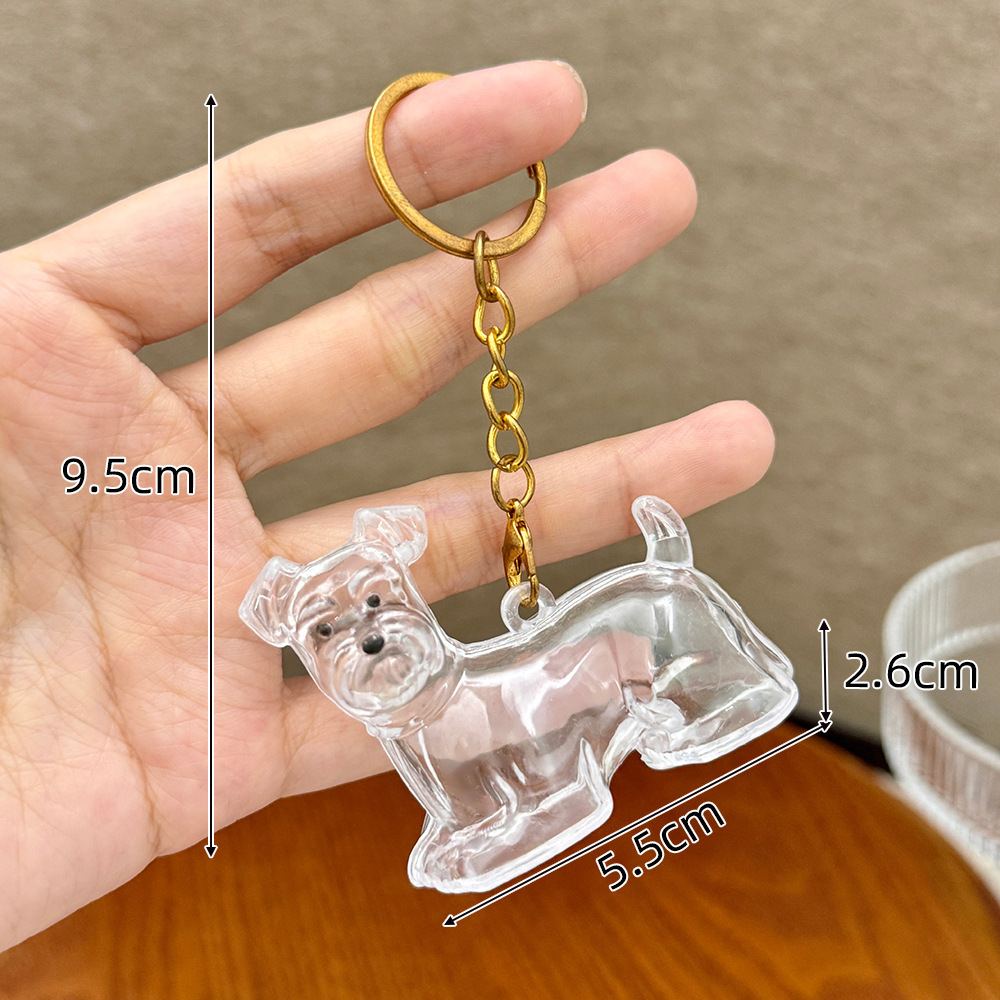 Caja de almacenamiento para perros y gatos colgantes de pelo transparente colección de almacenamiento cápsula bolsa colgantes de llaver