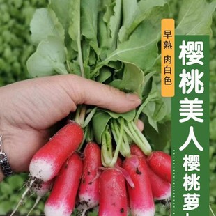 ����С�����}���N���ļ��߮a�̨����ˮ��Ĵָ�}���N��