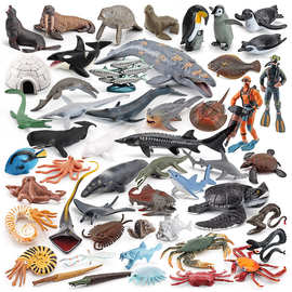 仿真鲸鲨虎鲨蓝鲸海洋生物模型深海史前远古邓氏鱼三叶虫动物模型