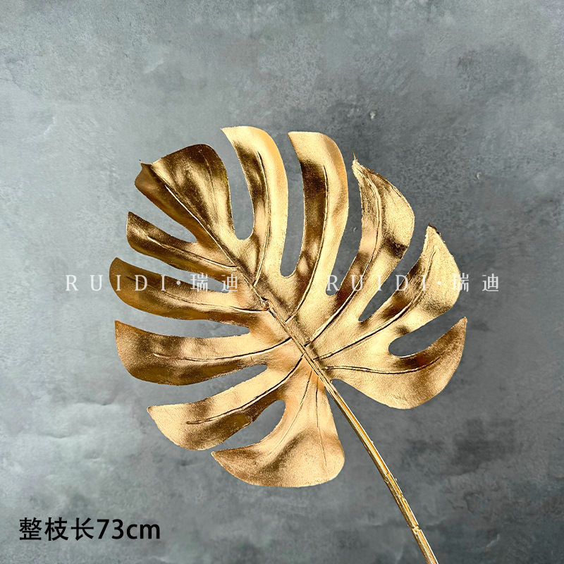 큰 거북이 등—J