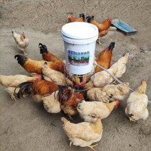 �B�u�����u������ʳ�۶��rȫ�Ԅ�ι�u������Ʒ�þ�