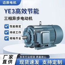 ���ஐ��늄әCYE3-250M-4-55KWǧ�ߴ�����ʽ��ʽ�Cе����늙C