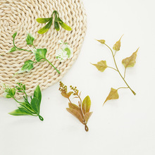 ˮ����X�� �~���b���Сˮ�� ˮ���쾰���ϼ�ˮ��ǰ��С�[��