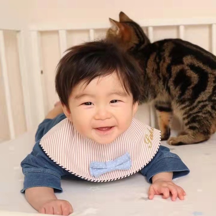 줄무늬 나비 넥타이