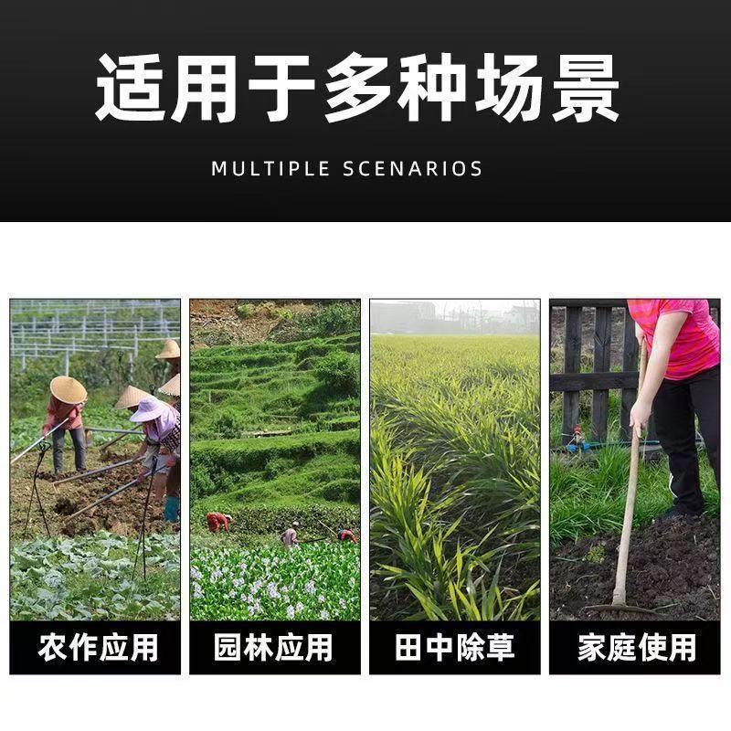 微信图片_20250414160616.jpg