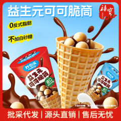 藤野製菓 アイスクリームチョコレートコーン 8個入 クリスピーコーン スナック チョコレート製品 サンドイッチビスケット