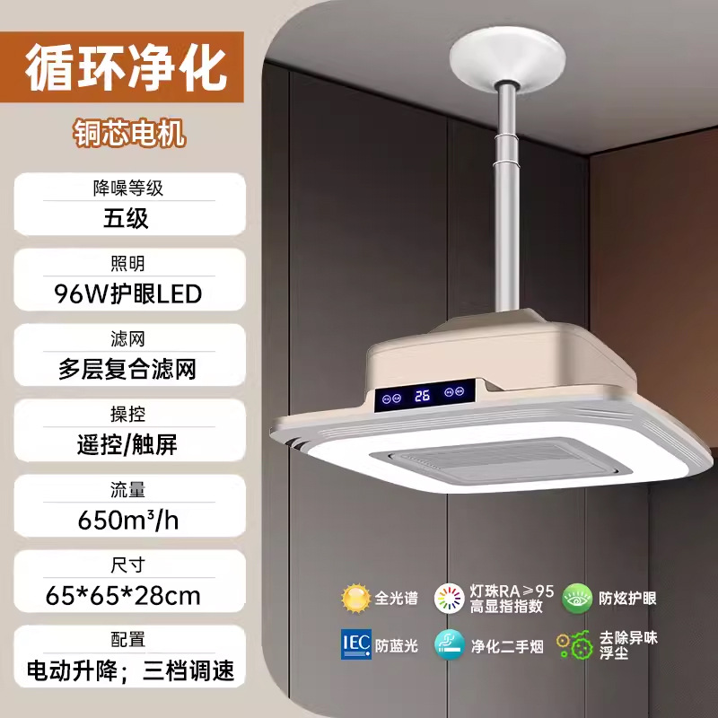 2 표준 업그레이드 [초박형 모델 B] 로즈 골드 (도어 설치)