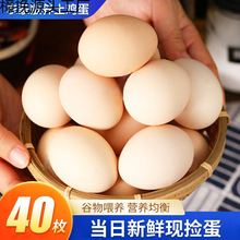 �r��ɢ�B���u��40ö���r������u���F��F�l�������I�B���
