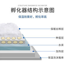 智能水床孵化器孵蛋器家用小型鸭鹅小鸡全自动恒温孵化箱孵化机