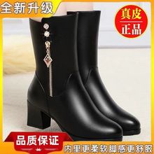 ܛƤЬѩѥиƤЬӽqͲѥ2022¿ѥ