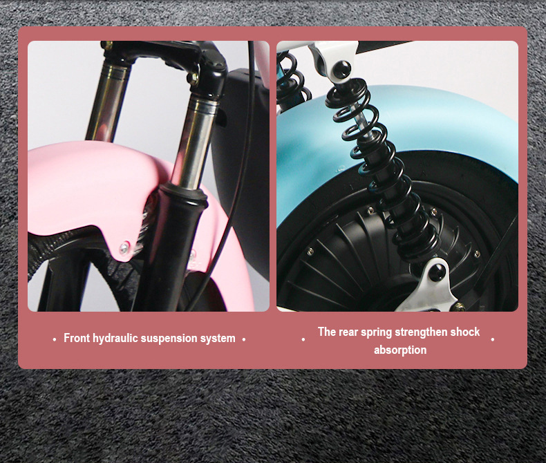 Custom Electric Bicycle, New National Standard, 48V 60V