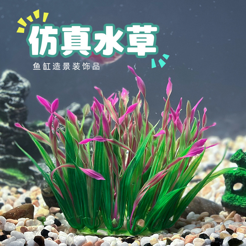 aquarium