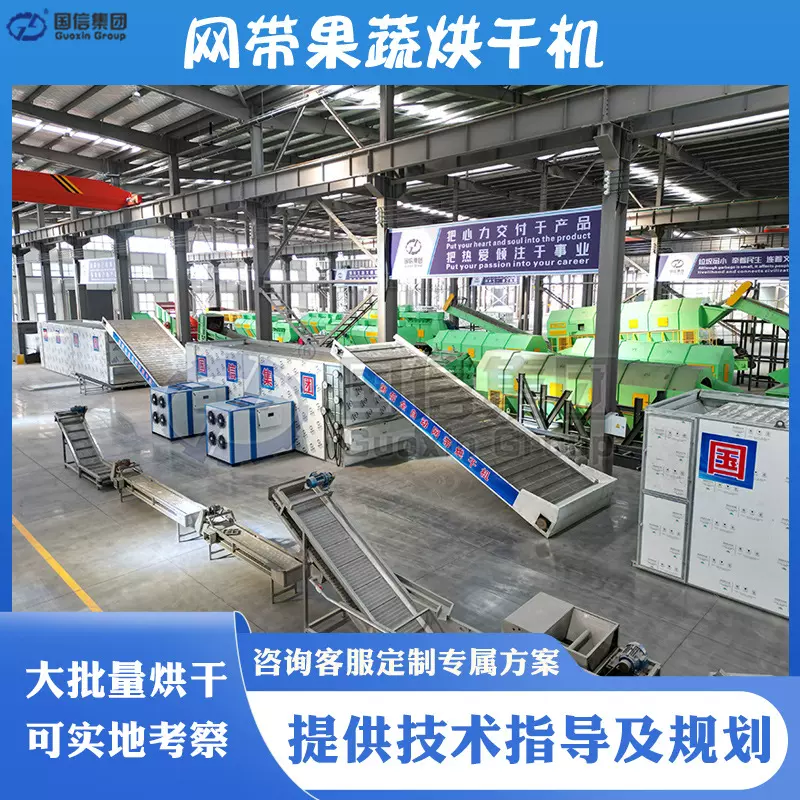 生姜片烘干机 网带式水果干蔬菜烘干设备 萝卜干红薯片烘干生产线
