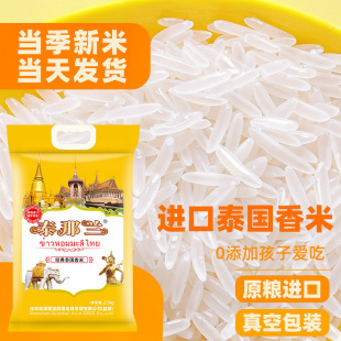 ̩������2025�������´����L����؈���׳�������ڽz�������l