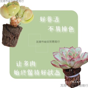 ����̿�d�o�����⺣�d�K��͸��Ӳ��ˮ����àI�B�Nֲ̼�މ�������