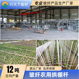 玻璃纤维杆实心农用拱棚支架植物攀爬支撑条玻纤外卖箱骨架帐篷杆