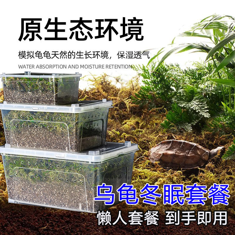 Winter Hibernation Supplies for Small Turtles, Scorpions, Centipedes, Household Lizards, Horned Frogs, Turtle Coconut Soil, Warm Reptile Hibernation Insulated Box Winter Hibernation Supplies for Small Turtles, Scorpions, Centipedes, Household Lizards, Horned Frogs, Turtle Coconut Soil, Warm Reptile Hibernation Insulated Box