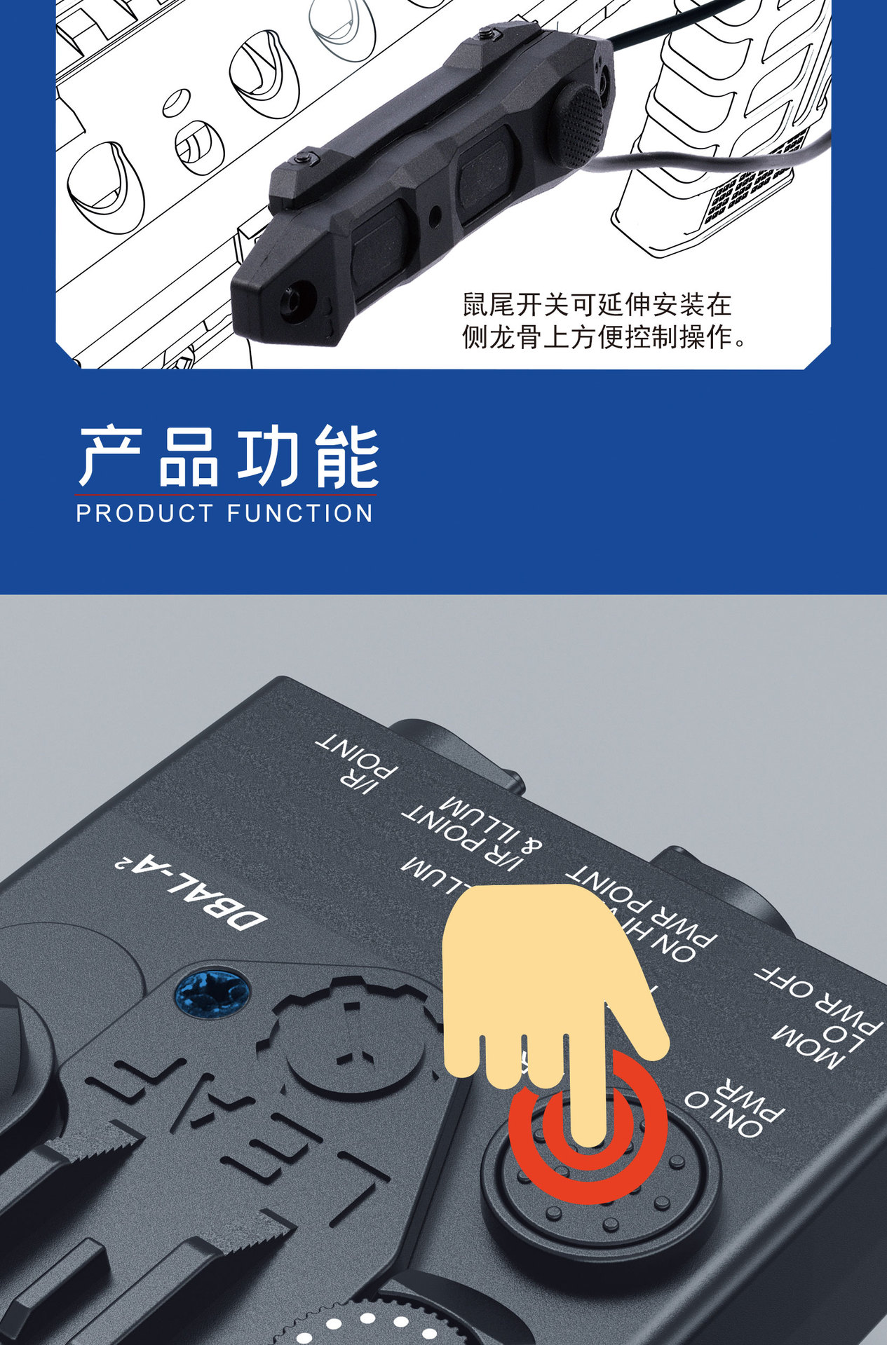 鼠尾手电长图_06