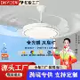 餐厅卧室客厅家用吊扇灯