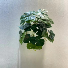 �҃ȿ͏d����辰[������Gֲ�b�¿����[�������ֲ�������