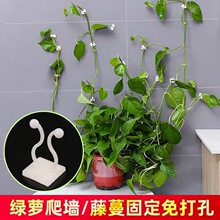 �G�}��������ֲ�������̶����Gֲ�����A�ӱڒ�o�ے��h���ٗU����