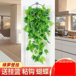 2V06 Wall Hanging Decoration Pothos Wall Hanging Hanging Orchid Balcony Living Room Fake Flower Decoration Hanging Basket Rattan Plastic Green Leaves