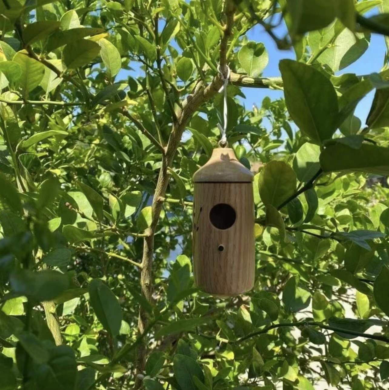 Resin birdhouse for garden