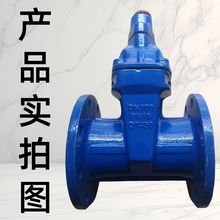 三角机械防盗弹性密封闸阀FDZ45X-16Q法兰橡胶软密封