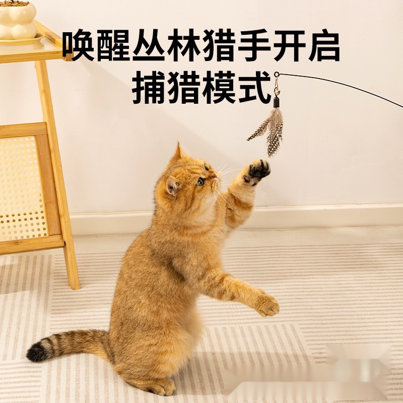 競技用猫じゃらしスティック、猫のおもちゃ、小さな飛んでいる虫の羽の交換用ヘッド、引っかき傷や噛みつきに強い子猫用品、自己楽しみと退屈解消|undefined