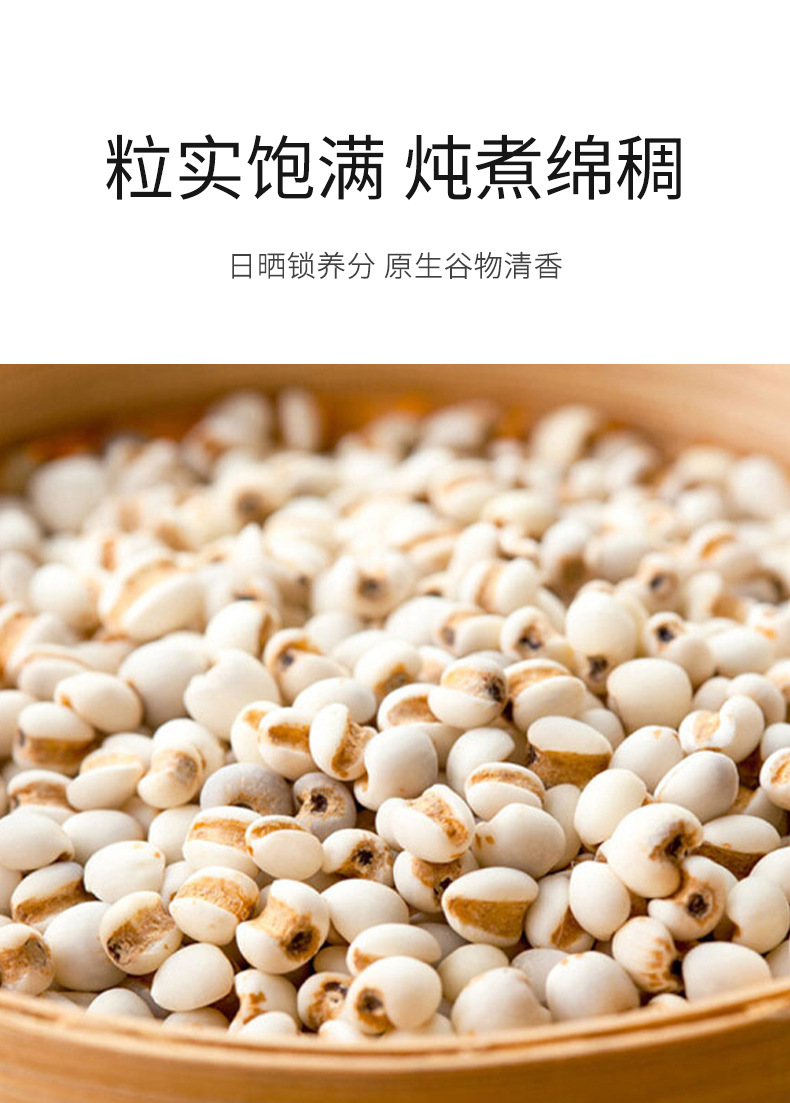 Dried Coix Seed 500g Yi Mi Ren Job's Tears Grain for Soup and Congee quality and texture