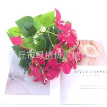 7z÷GֲֲcҾb޼ٻ쾰ٻl