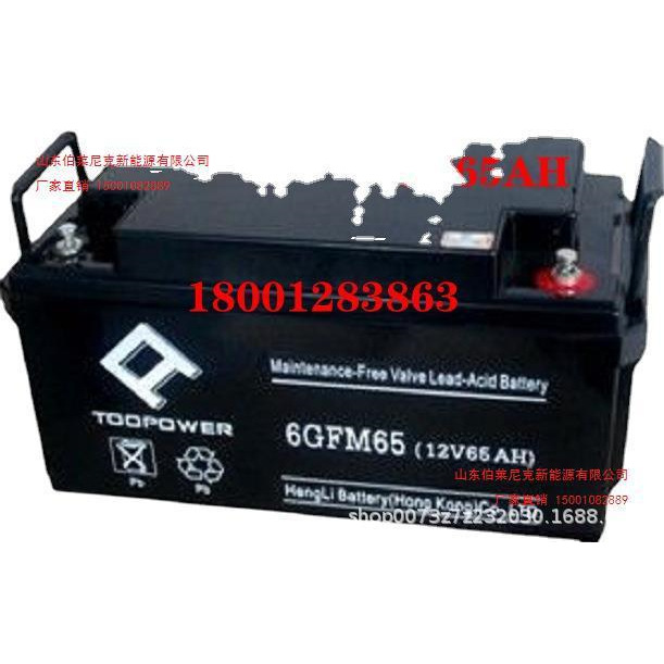 天力特蓄电池6-GFM-65阀控式铅酸免维护蓄电池12V65AH包邮