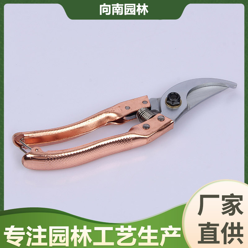 厂家直供家用盆景修枝剪剪刀摘果花剪枝修枝蔬果剪园艺工具