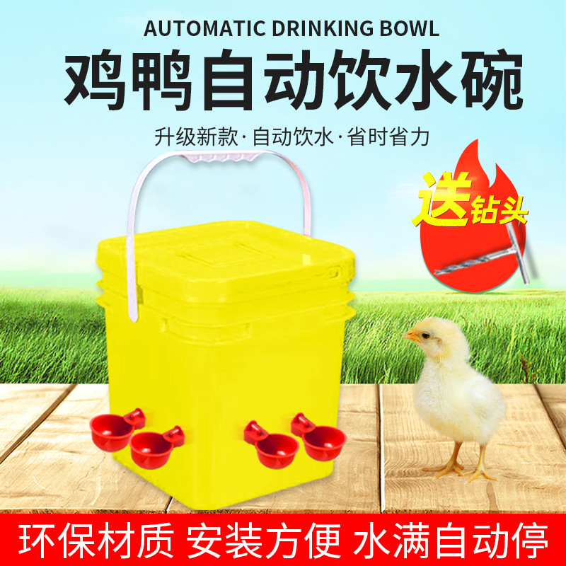 Bebedero automático para criar pollos, pollo, pato, ganso, cuenco de agua, paloma, cuenco de agua, codorniz, aves, aves, pollitos, artefacto de alimentación de agua