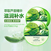 Night moisturizing cream, cleansing milk, face mask, aloe vera gel for skin care, wholesale