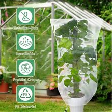 �羳ֲ�ﱣ�o�W�߲˹�����@�r�÷��x�W�ּӺ����K������x�W��