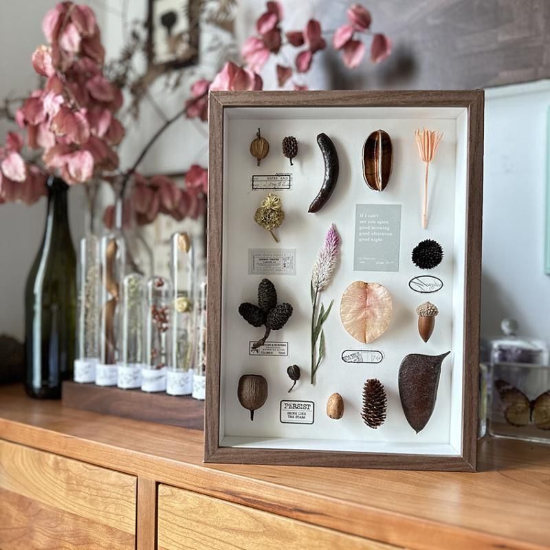 Three-Dimensional Hollow Photo Frame Display Box for Leaves, Plants, Insects, Dried Flowers, Natural Specimens, DIY Handmade Picture Frame, Empty Frame Three-Dimensional Hollow Photo Frame Display Box for Leaves, Plants, Insects, Dried Flowers, Natural Specimens, DIY Handmade Picture Frame, Empty Frame
