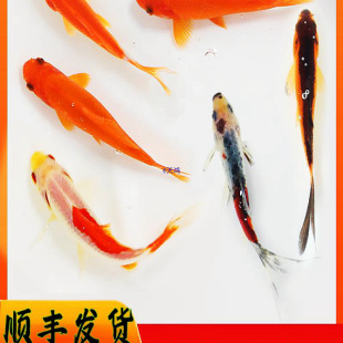 �^�p�~�ݽ��~���B�������~С�~���~С������B�ͻ����~��������~