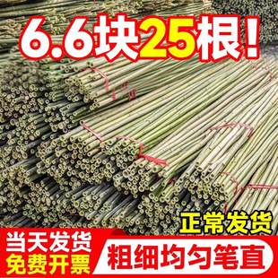 Bamboo Pole Vegetable Garden Frame Garden Vegetable Rack Bamboo Pole Fence Outdoor Bamboo Fence Anti-Corrosion Durable Colorful Flagpole Bamboo Stick