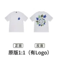 Xb2102 white