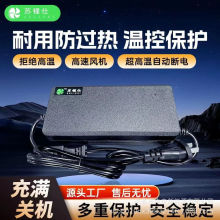 廠家供應48v5a60v5a72v5a  3元聚合物磷酸鐵鋰電動車鋰電池充電器
