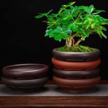 ���d��ɰ����ˮ��������Gֲ�Ϙ��辰���҃ȼ�ɽ���s�����������l