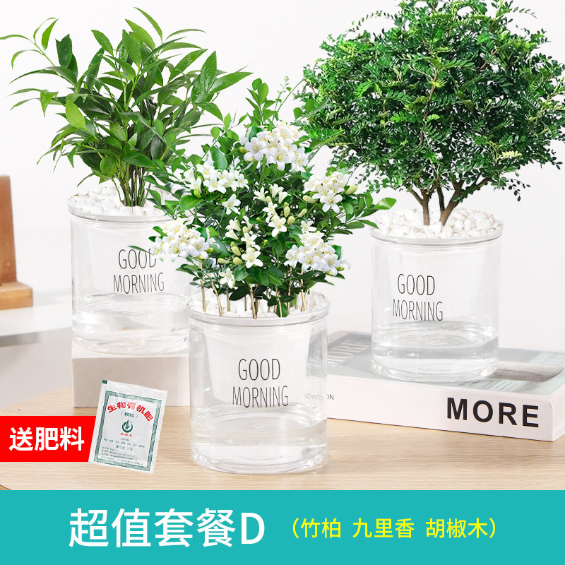 모기퇴치 3종조합 대나무와 편백나무 + 구리향 + 고추나무 + 비료비화석