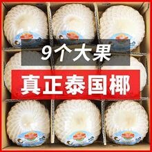 ̩���M��Ҭ���ش�����rҬ�Ӯ�����ˮҬ���ЋD��ͯˮ��������]