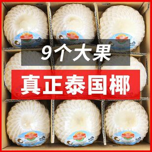 ̩���M��Ҭ���ش�����rҬ�Ӯ�����ˮҬ���ЋD��ͯˮ��������]