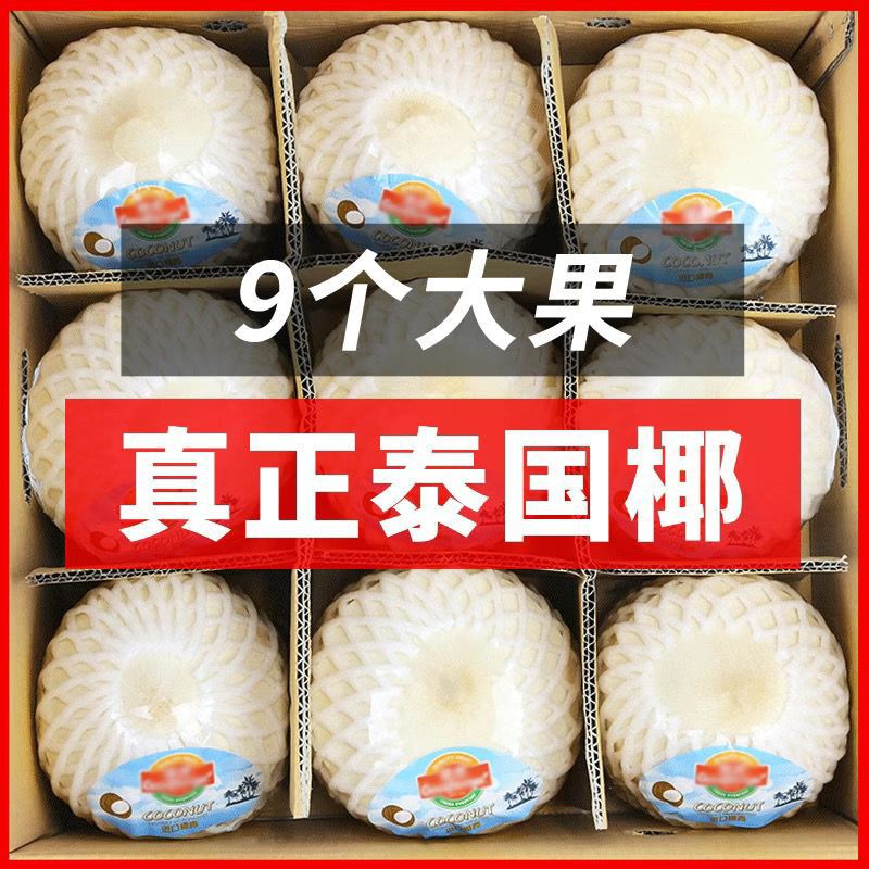 泰国进口椰青特大果新鲜椰子当季香水椰青孕妇儿童水果整箱包邮
